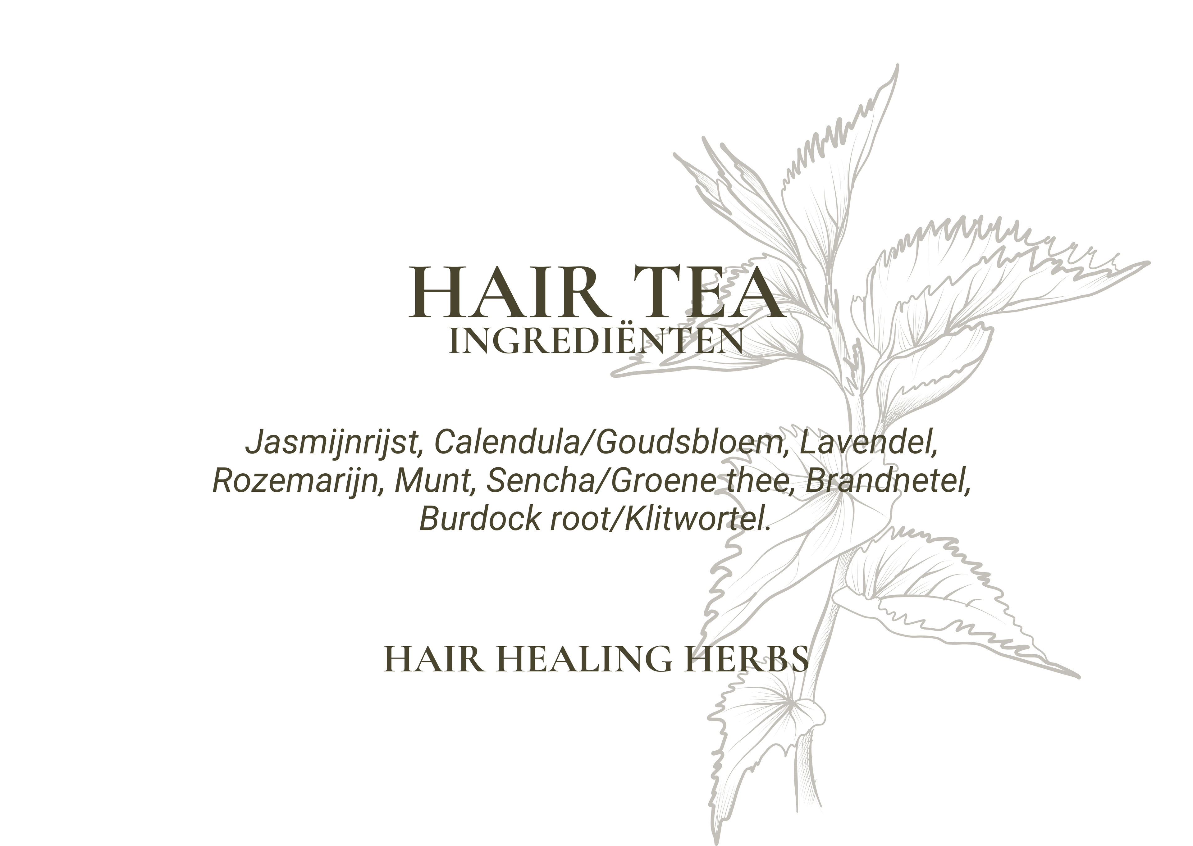 HAIR TEA - Een natuurlijke, krachtige boost voor haar en hoofdhuid.
